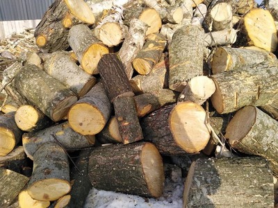 Дрова Ківерці Купити рубані дрова недорого в Ківерцях - main