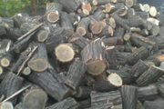 Продам рубані дрова твердих порід (дуб,  граб,  ясен) Луцьк ДОСТАВКА - foto 0