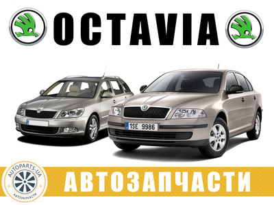 АВТОРАЗБОРКА РАЗБОРКА Skoda Octavia A5 (2004-2013) - main