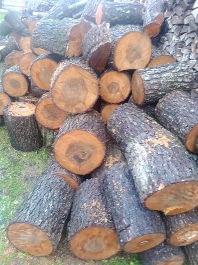 Дрова ціна купити дрова у Луцьку - main